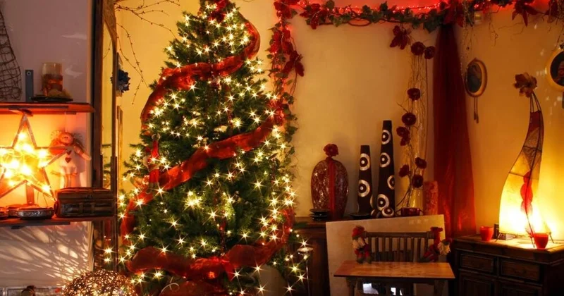 Yolka nı evin bu yerlərinə qoymusunuzsa, DƏRHAL GÖTÜRÜN