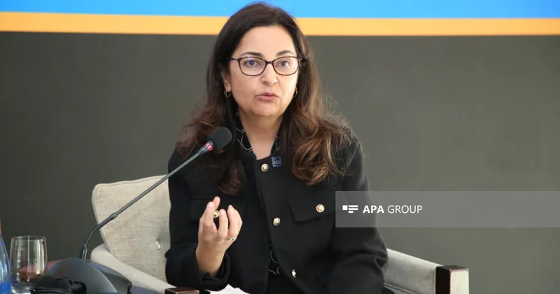 ADB növbəti 5 ildə Azərbaycanda yaşıl keçid və infrastruktur üzrə iri investisiyalar planlaşdırır