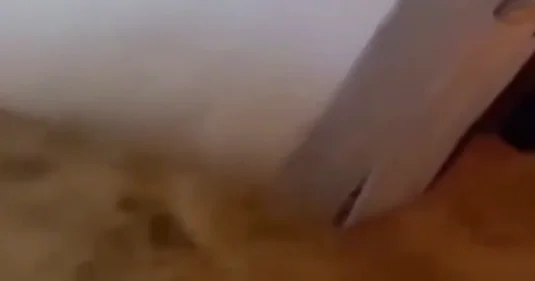 Столицу Иордании затопило ВИДЕО