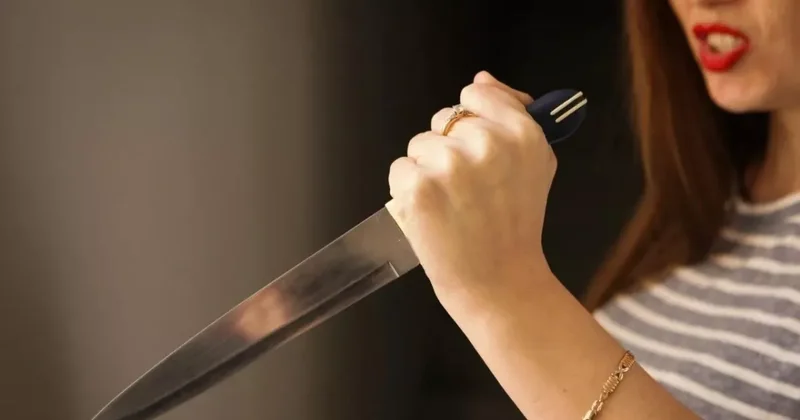 В Армении женщина напала с ножом на мужа и свекровь