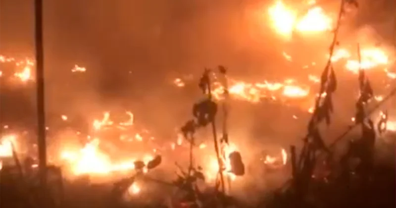 Bakıda ağaclıq sahədə yanğın baş verib Video