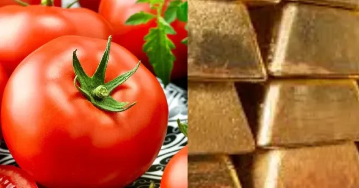 Pomidor qızıl ilə yarışır Azərbaycanın qeyri neft sektoru üzrə ixrac rəqəmləri açıqlandı