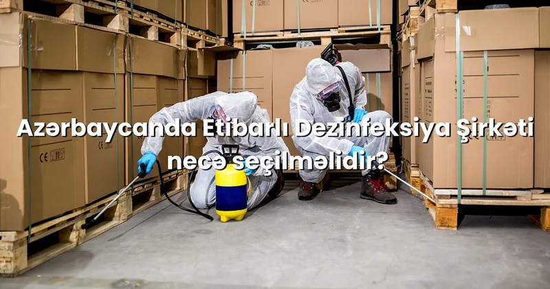 Ucuz Dezinfeksiya Xidməti: Qiymət həqiqətən effektivliyi müəyyən edirmi?