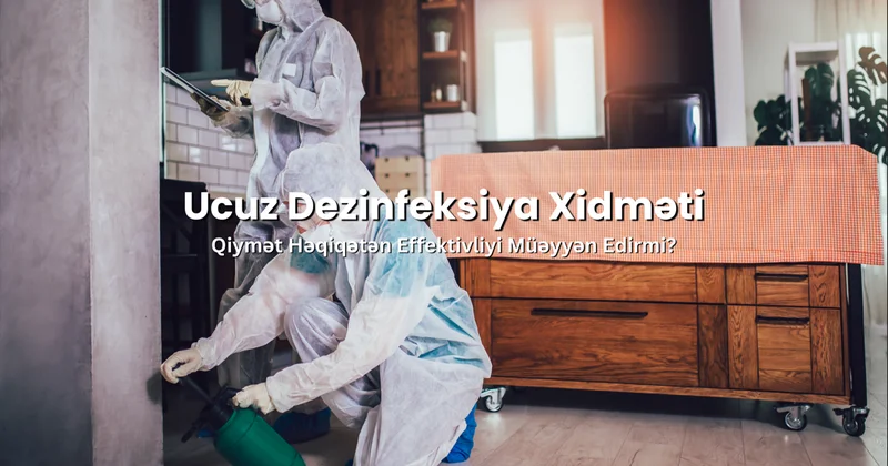 Azərbaycanda etibarlı dezinfeksiya şirkəti necə seçilməlidir?