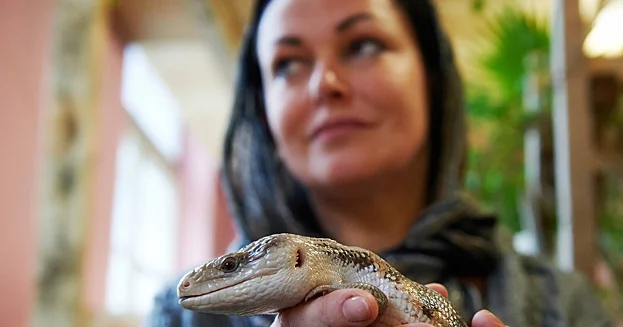 Bu heyvanlar yuxu zamanı yavaş və sabit ritm nümayiş etdirirlər...