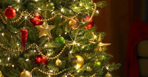 Bayramdan sonra evdə yolkanı necə düzgün yığışdırmalıyıq?