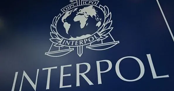 Интерпол задержал в Боснии и Герцеговине обвиняемого в мошенничестве гражданина Азербайджана