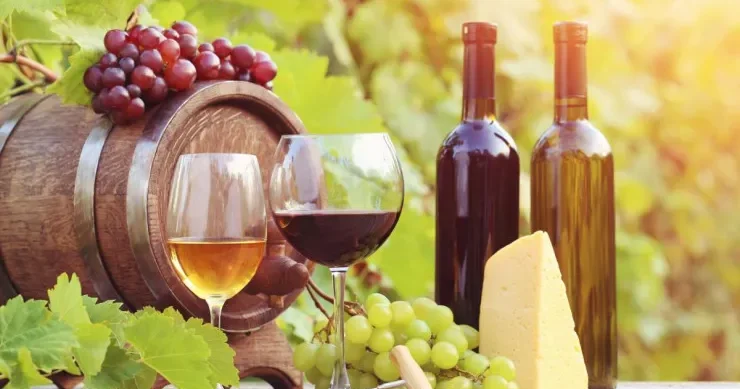 Qırmızı və ağ şərab: Hansını içmək daha yaxşıdır?