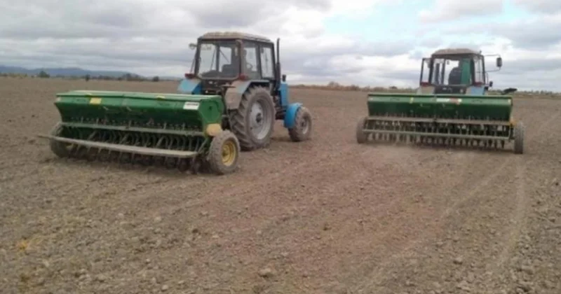 922 min hektar sahədə dən və yaşıl yem üçün payızlıq bitkilər səpilib