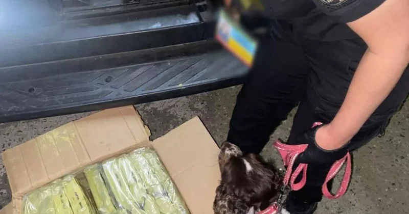 Во Львовской области раскрыт канал контрабанды наркотиков