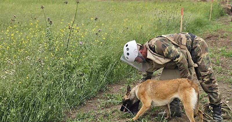 Minatəmizləmə ilə bağlı yeni qaydalar qəbul edildi