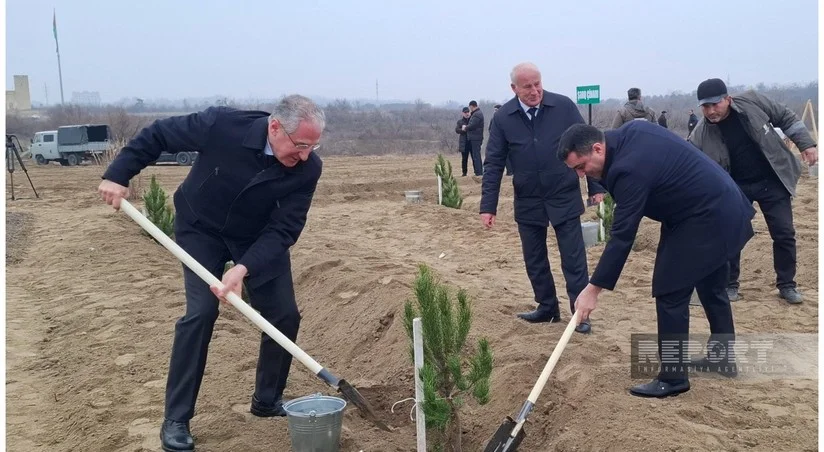 Muxtar Babayev Yevlax və Ağdaşda meşəbərpa tədbirlərində iştirak edib