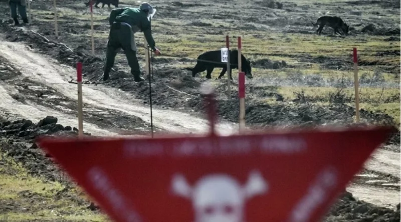 Ermənistanın mina terroru: Azad edilmiş ərazilər tez bir zamanda təhlükəsiz hala gələcək