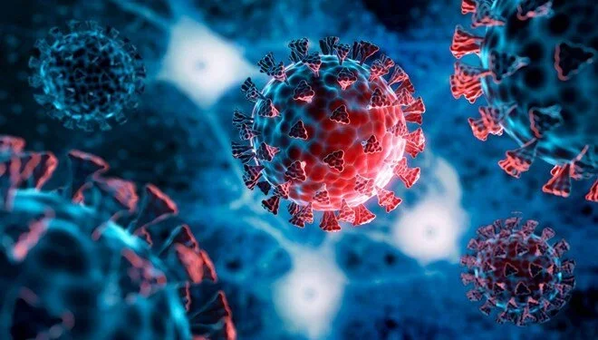 İlk henipavirus aşkarlandı: Pandemiyaya ola bilər?