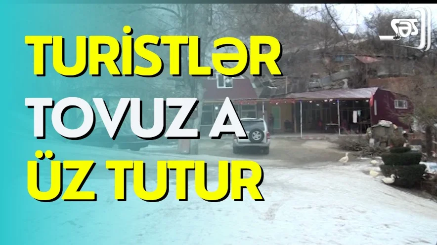 Turistlər Tovuz a üz tutur