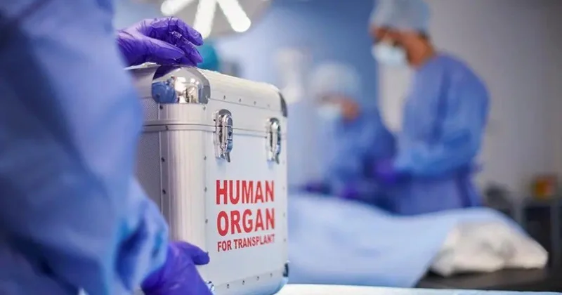 “Azərbaycanda donor olmaq istəyən deputatlar var” Milli Məclisin Səhiyyə komitəsi