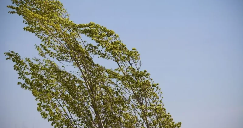 В ряде регионов Азербайджана объявлено метеопредупреждение