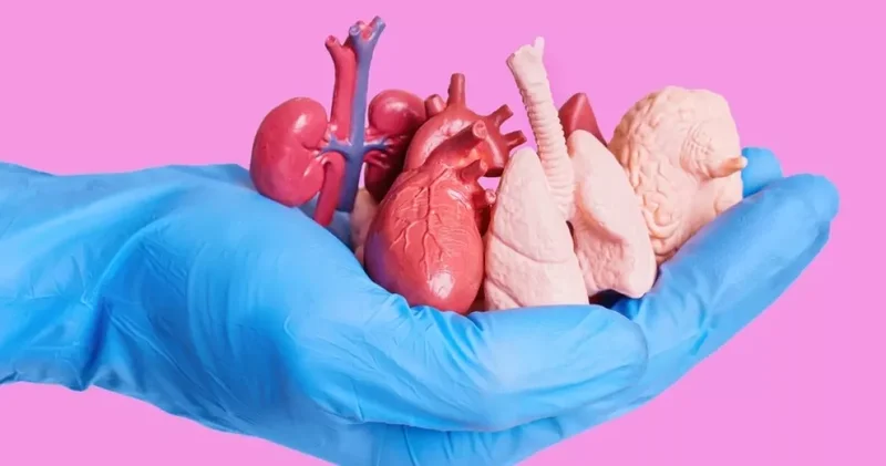 Советник главы госагентства Азербайджана пожертвовала свои органы как донор