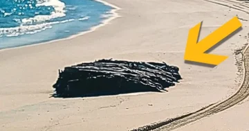 19 cu əsrin ən böyük sirri açıldı...