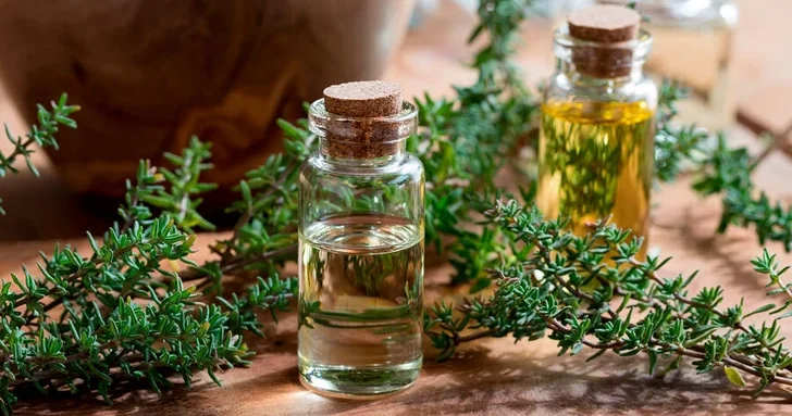 Найдена природная замена антибиотикам