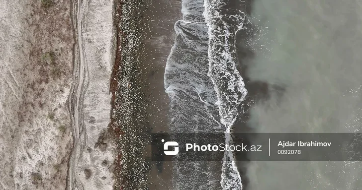 Баку станет площадкой для глобального диалога по спасению Каспийского моря