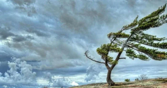 Külək, duman... Faktiki hava