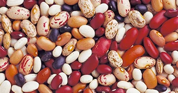 Həzmi normallaşdırmaq üçün bir nömrəli qida..?