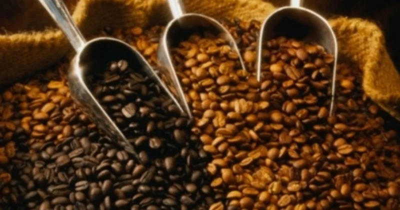 Kofeinin hansı faydaları və ziyanları var?