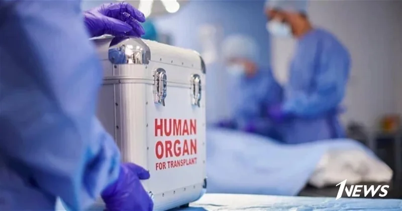 Названо число желающих стать донорами органов в Азербайджане