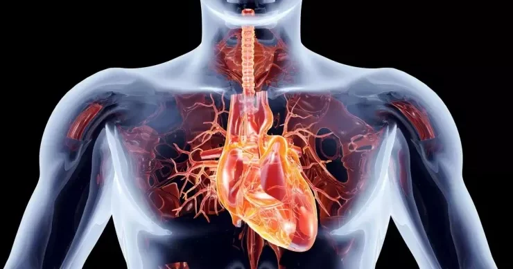 Təksinizsə, infarktdan necə sağ çıxmaq olar?