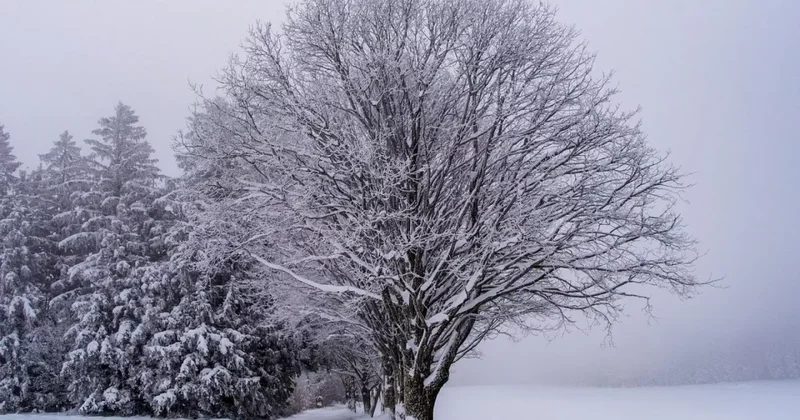 Штормовое предупреждение объявлено в 16 регионах Казахстана