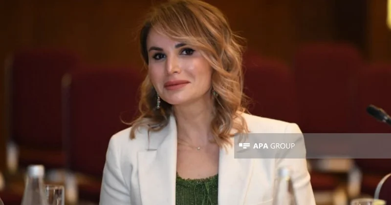 Kardiologiya Cəmiyyətinin sədri: Azərbaycanda ürək çatışmazlığı mərkəzlərinə ehtiyac var