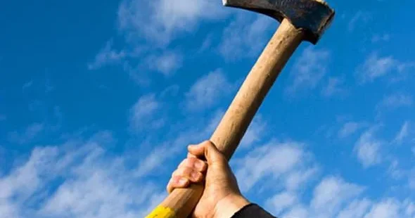 Həbsdən yeni çıxan kişi arvadını baltaladı