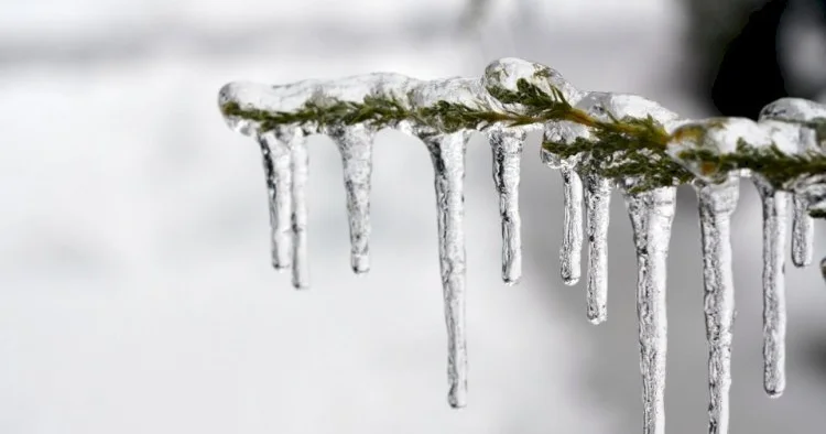 Bu gecədən Kiçik çillə başlayır: şaxta, çovğun və sərt günlər...