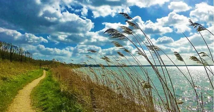 Bölgələrdə güclü külək əsir