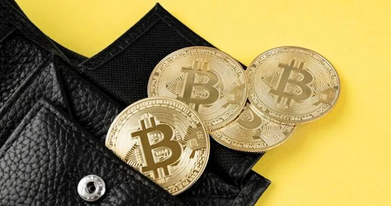 Bitkoinin qiyməti apreldən bəri ilk dəfə 80 min dollardan aşağı düşdü