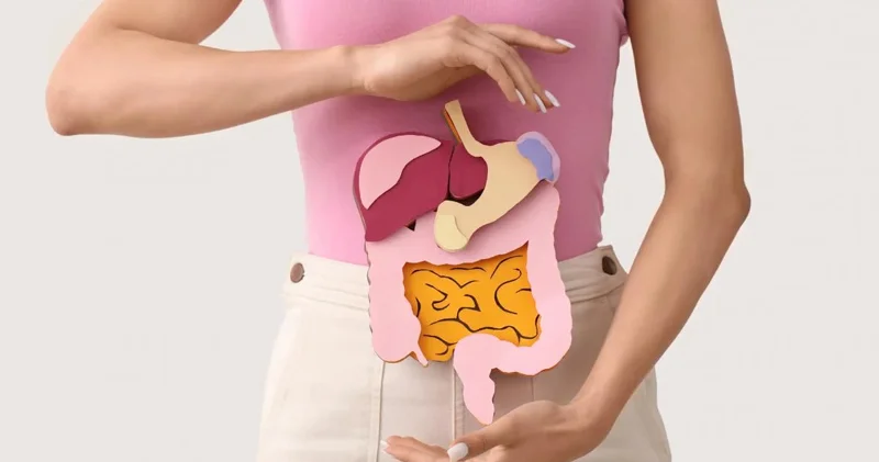 Həzm sistemini normallaşdırmaq üçün nə yemək lazımdır?