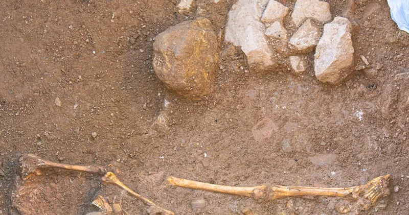 Bəşəriyyət 900 min il əvvəl demək olar yox olub: Nə baş verib?