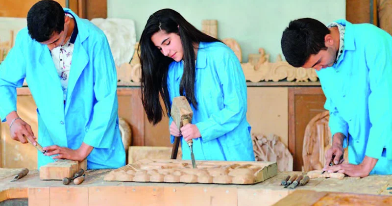 Peşə təhsili insan kapitalını zənginləşdirir