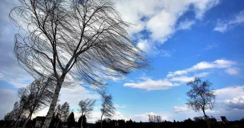 Bəzi yerlərdə cənub qərb küləyi əsir Faktiki hava