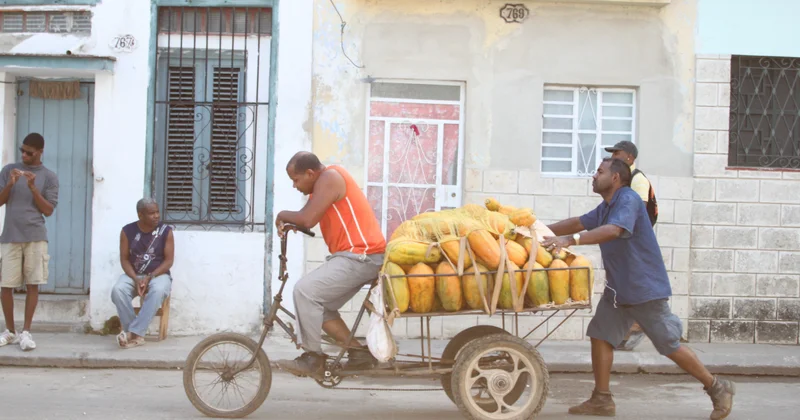 Как выжить: без света, без нефти, без выхода? горячая тема