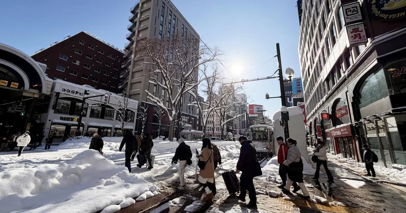 в Японии число жертв снегопадов выросло до 29