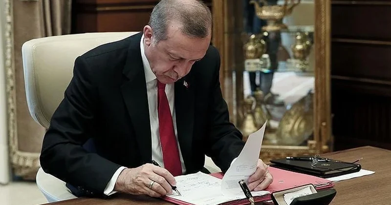 Эрдоган назначил себе главного советника