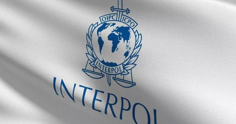 МВД: В Грузии задержан разыскиваемый Интерполом гражданин Турции