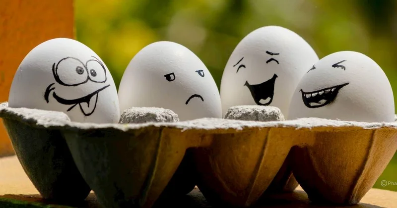 Gündə 4 yumurta yesək nə olar?