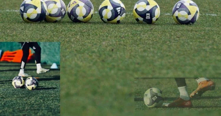 Qarabağ la matçın hazırlığı yekunlaşdı FOTOLAR