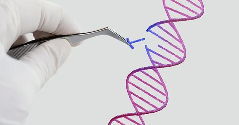 Azərbaycanda insanın klonu patent obyekt kimi qəbul edilməyəcək