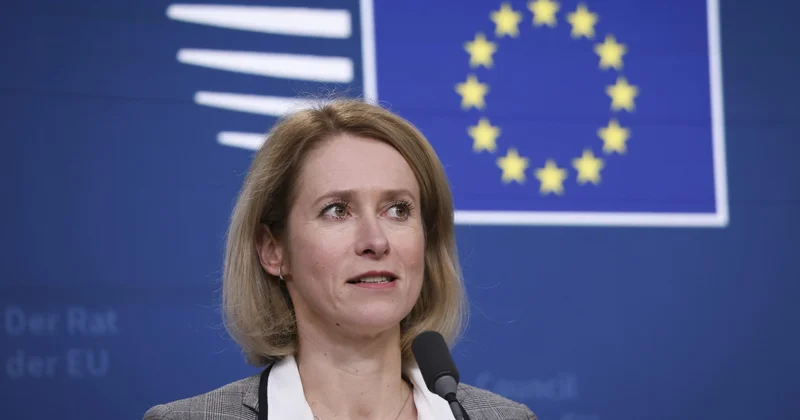 Каллас объявила о выделении Украине 80 млн евро, полученных от доходов по замороженным российским активам