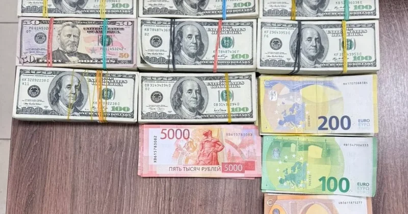 Россия задержала долларовую контрабанду в Грузию ФОТО