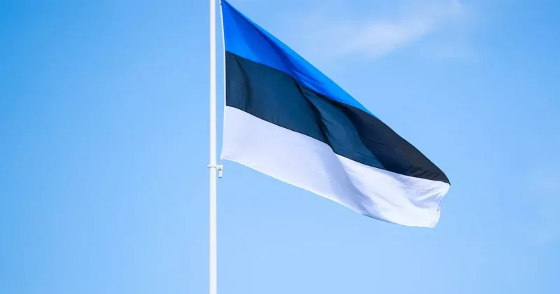 Воздушная тревога в Эстонии из за неизвестных дронов